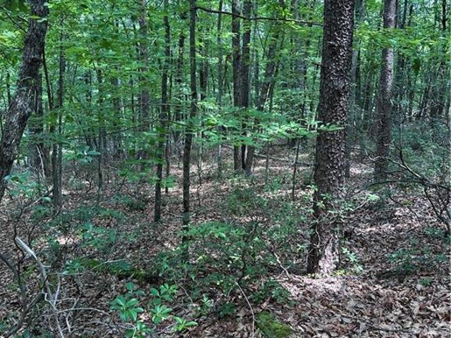 Land for sale in Stokes, North Carolina