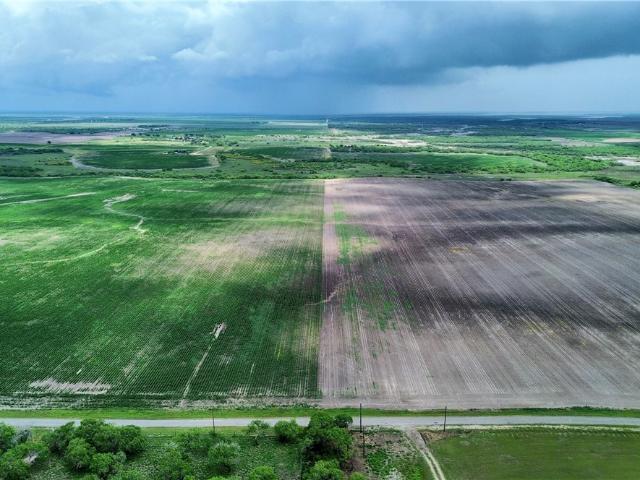 Commercial Land for sale in Kingsville