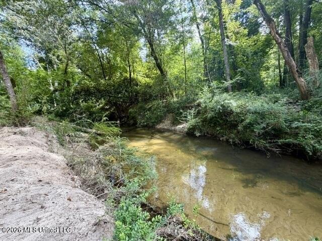 Land for sale in Osyka, Mississippi