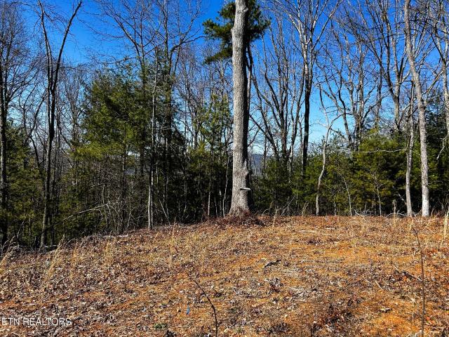 Land for sale in Tennessee