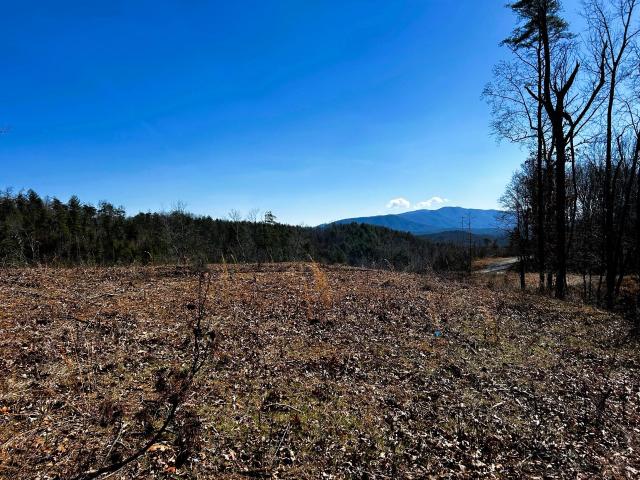 Land for sale in Tennessee