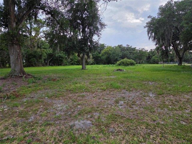 Land for sale in Thonotosassa, Florida