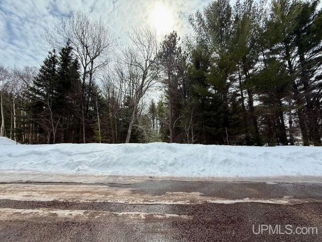 Land for sale in Ishpeming, Michigan
