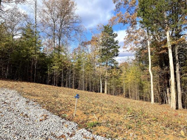 Land for sale in Monroe, Middle Tennessee