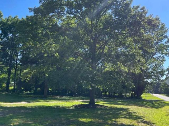 House for sale in Oconee, Georgia
