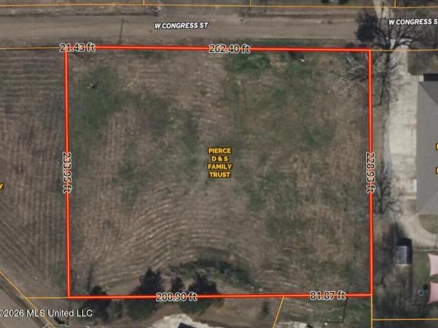 Commercial for sale in Bogue Chitto, Mississippi