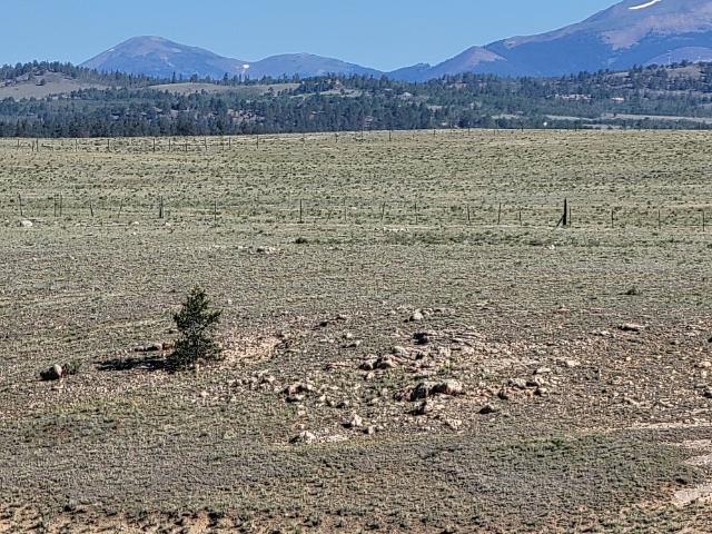 Land for sale in Hartsel, Colorado