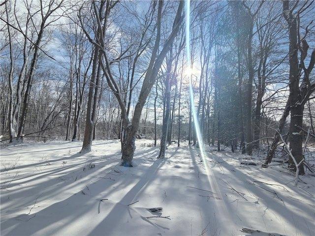 Land for sale in Cayuga, New York