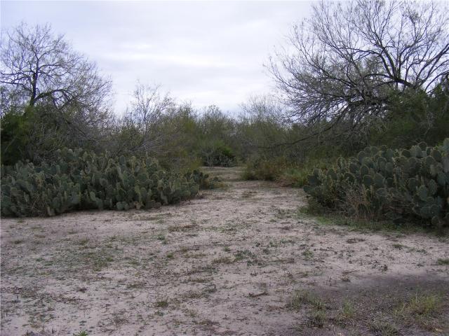 Land for sale in San Patricio, Texas