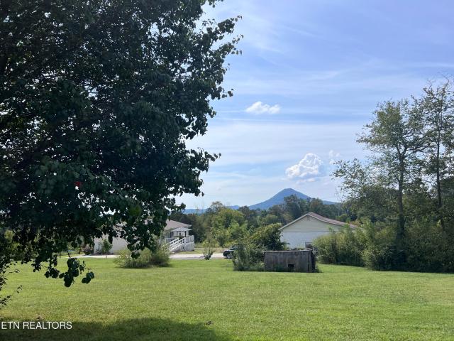 Land for sale in Blaine, Luttrell