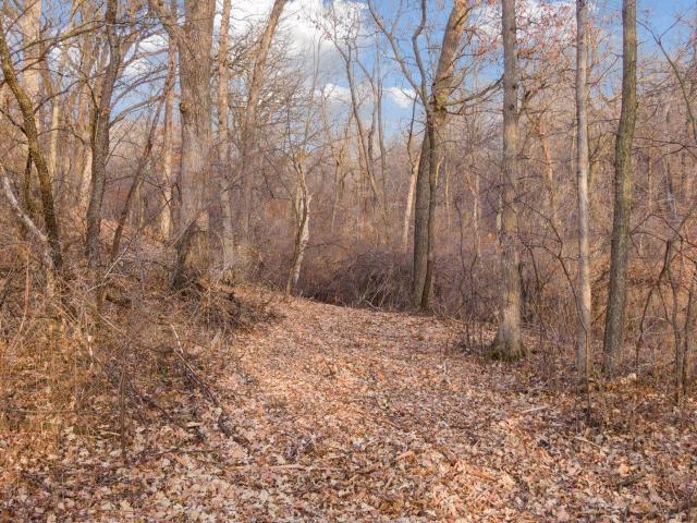 Land for sale in Cottage Grove, Minnesota