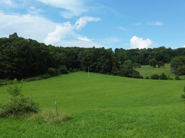 Land for sale in Bush Mill, Nickelsville