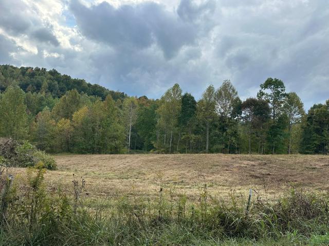Farm for sale in London, Laurel County