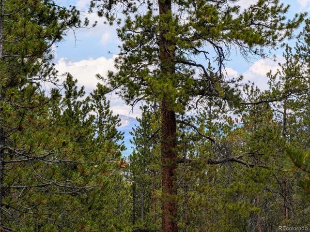 Land for sale in Twin Lakes, Colorado