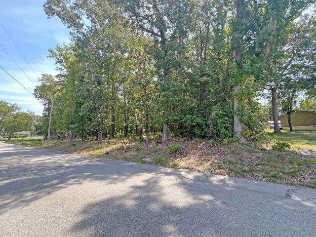 Land for sale in Frierson, Manning