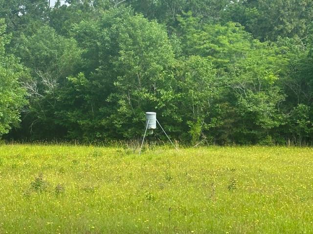 Land for sale in Willis, Texas