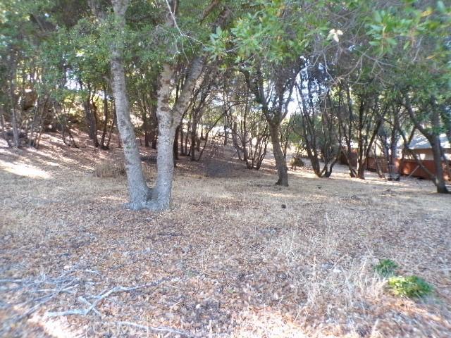 Land for sale in Kelseyville