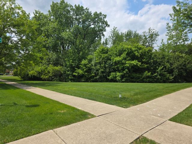 Land for sale in Bartlett, Illinois