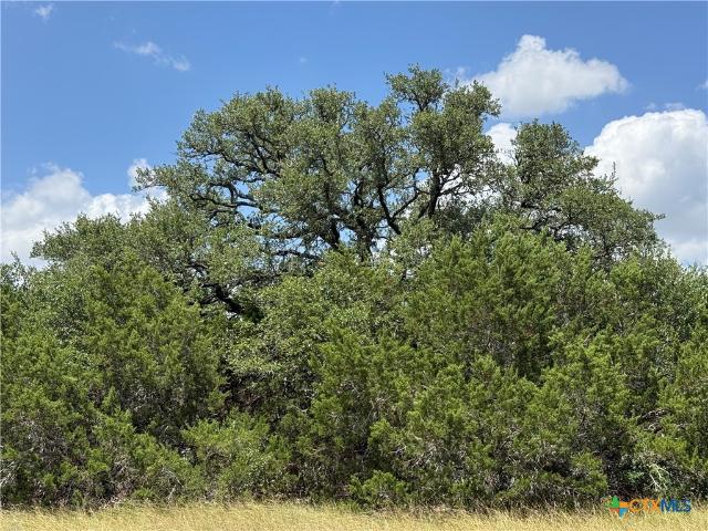 Land for sale in Salado, Texas