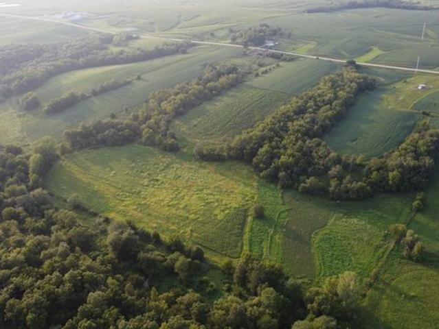 Land for sale in Bussey, Iowa