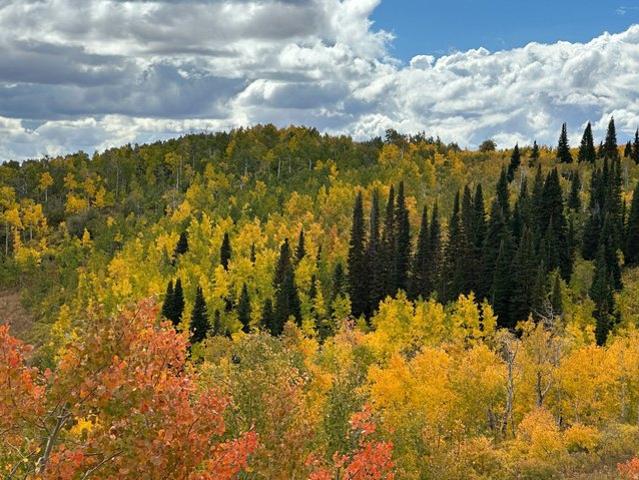 Land for sale in Huntsville, Utah