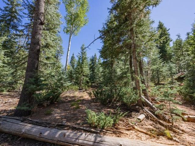 Land for sale in Duck Creek Village, Utah
