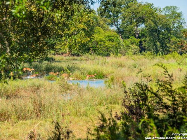 Farm for sale in Sutton, Texas