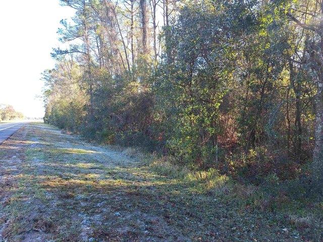 Land for sale in Palatka, Florida