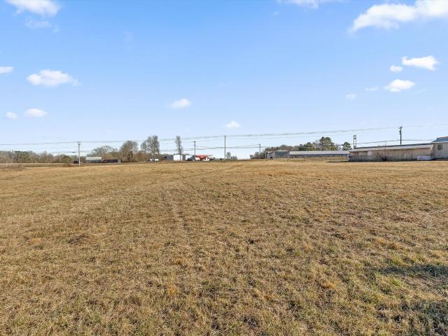 Land for sale in Henagar, Alabama