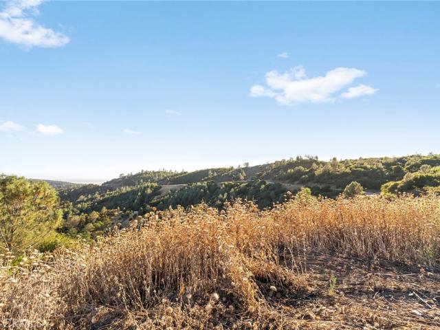 Land for sale in Butte, California