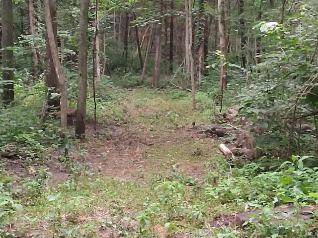 Land for sale in Peru, Indiana