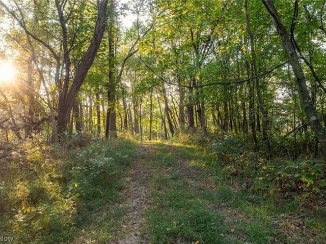 Land for sale in Navarre, Stark County