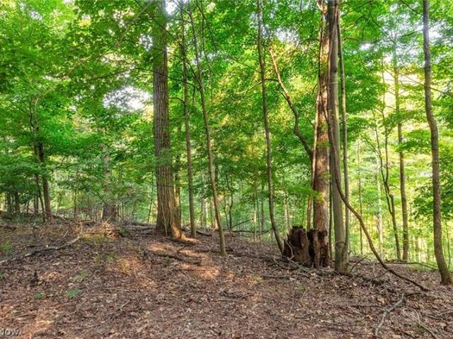 Land for sale in Navarre, Stark County
