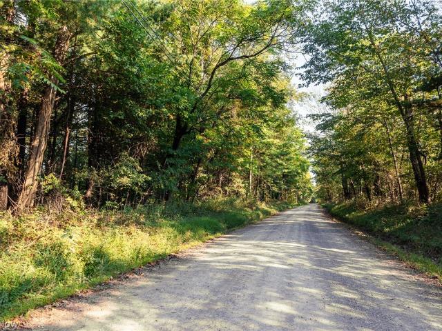 Land for sale in Navarre, Stark County