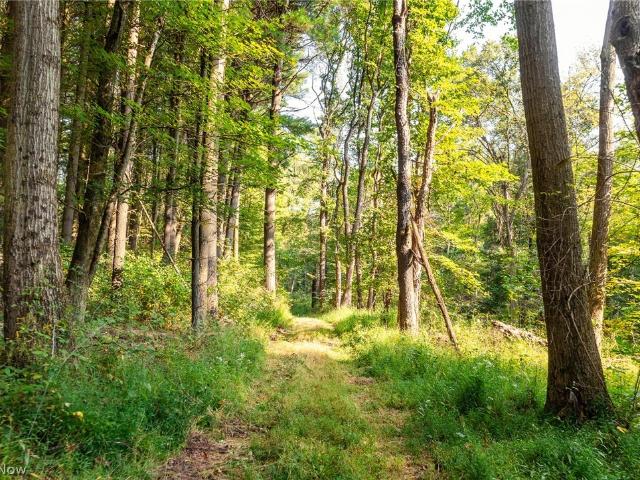Land for sale in Navarre, Stark County