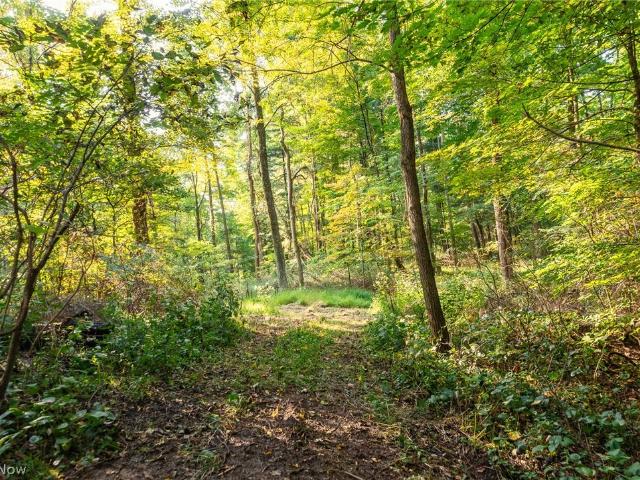Land for sale in Navarre, Stark County