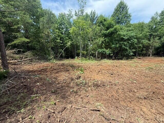 Land for sale in Tennessee