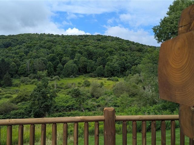 House for sale in Walton, New York