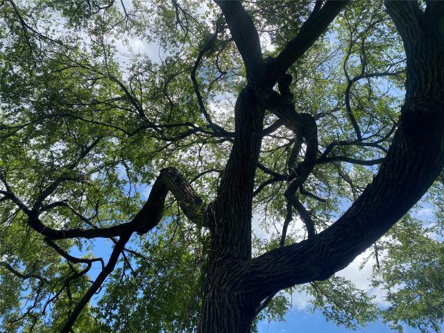 Land for sale in Robertson, Texas