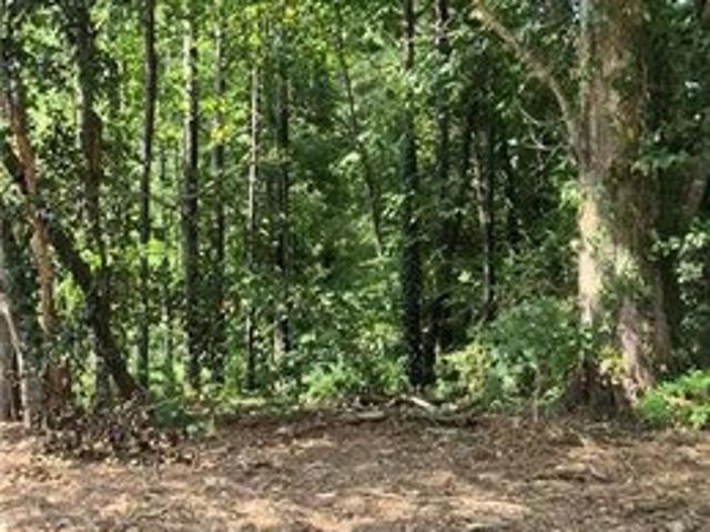 Land for sale in Lithonia, DeKalb County