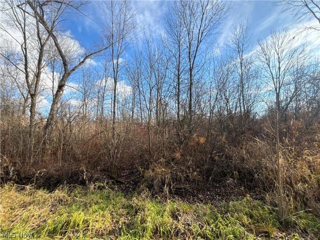House for sale in Newbury, Ohio
