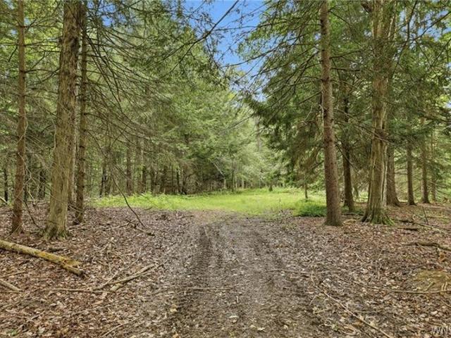 Land for sale in Town of Holland, Erie County