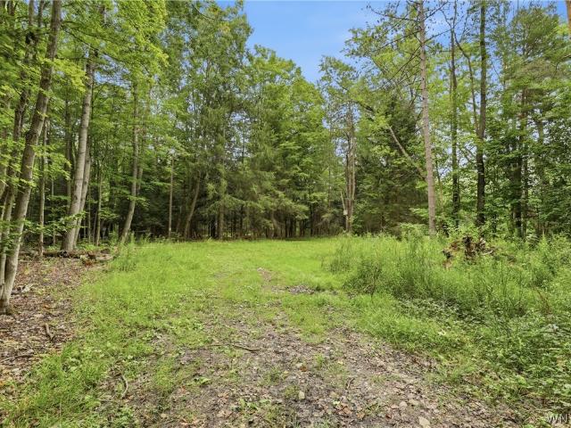 Land for sale in Town of Colden, Erie County