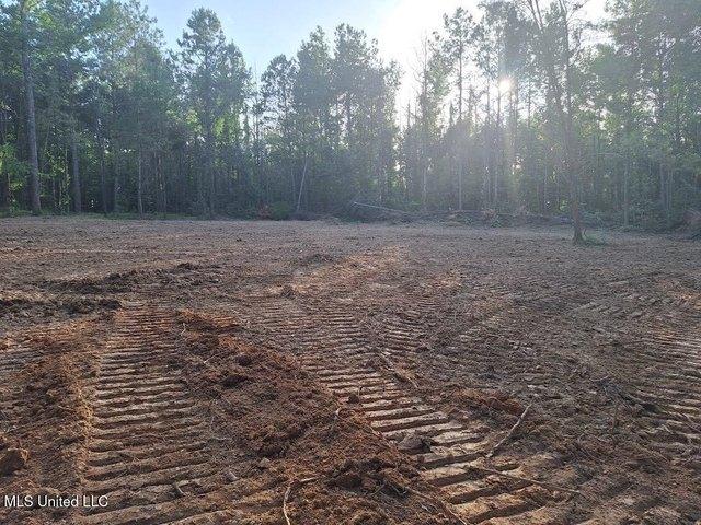 Land for sale in Mendenhall, Mississippi