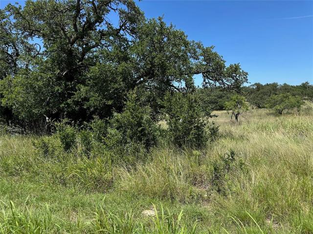 Land for sale in Brownwood, Texas