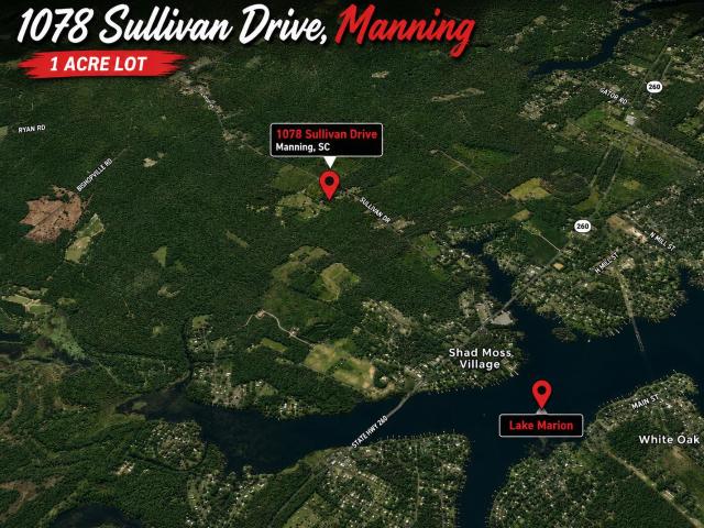 House for sale in Manning, Clarendon County