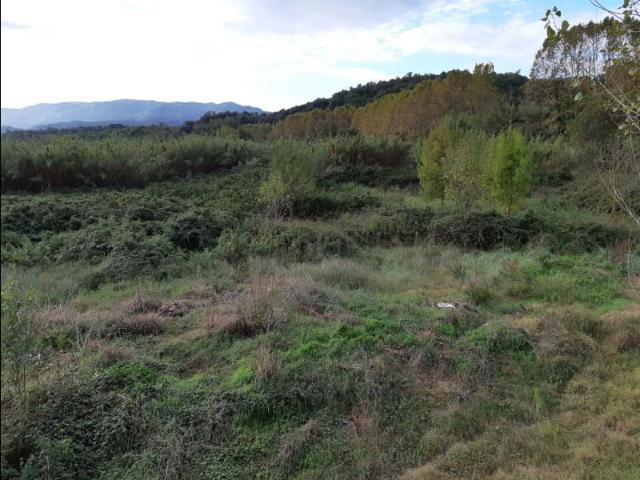 Terreno en venta en Gironès, Catalunya