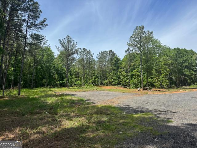 Land for sale in Flovilla, Georgia