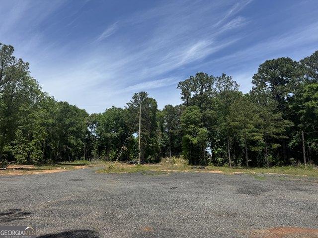 Land for sale in Flovilla, Georgia