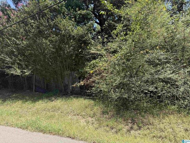 Land for sale in Birmingham, Jefferson County